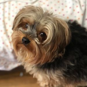 Meet your Posher, Vickie